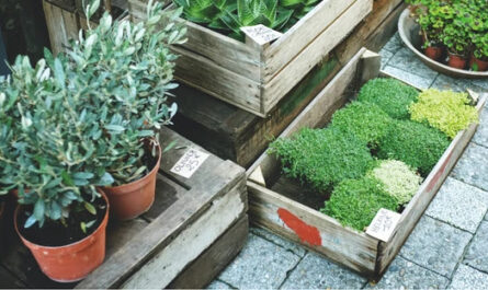 5 نباتات يمكنك زراعتها في الأجزاء الأكثر رطوبة في حديقتك