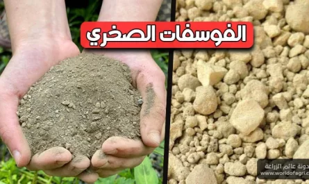 استخدام الغبار الصخري في الزراعة