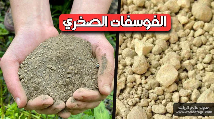 استخدام الغبار الصخري في الزراعة