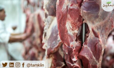 التغيرات في اللحوم بعد ذبح الخنازير وأثناء التخزين