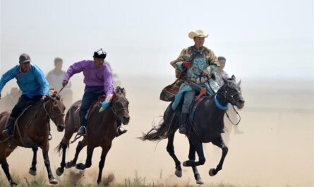 الخيول المنغولية
