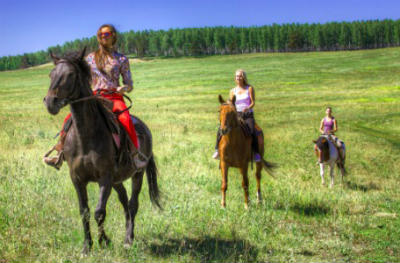 حصان ركوب روسي