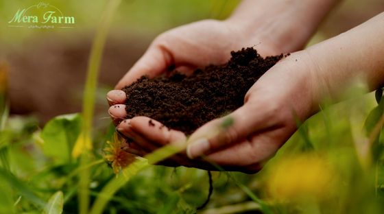 خصوبة التربة: أهميتها للزراعة