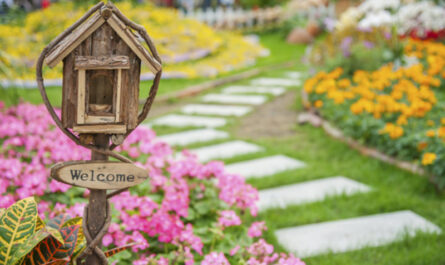 كيفية إنشاء حديقة زهور جميلة أمام المنزل في الريف: 5 خيارات لكل ذوق