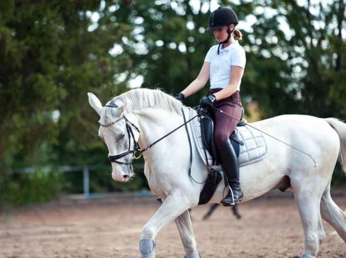 كيفية تدريب الحصان على الركوب؟