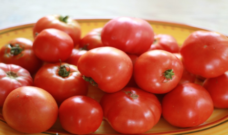 كيفية زراعة الطماطم بدون بذور: إيجابيات وسلبيات التكنولوجيا