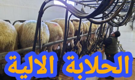 كيفية صنع آلة حلب الماعز بسرعة وسهولة