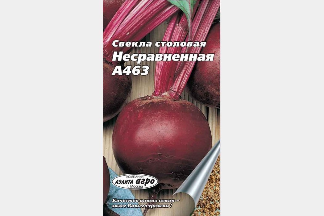 Nejlepší odrůdy řepy pro pěstování a skladování na Sibiři