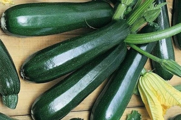 Zucchini Zucchini Zukesha – raná odrůda univerzálního účelu