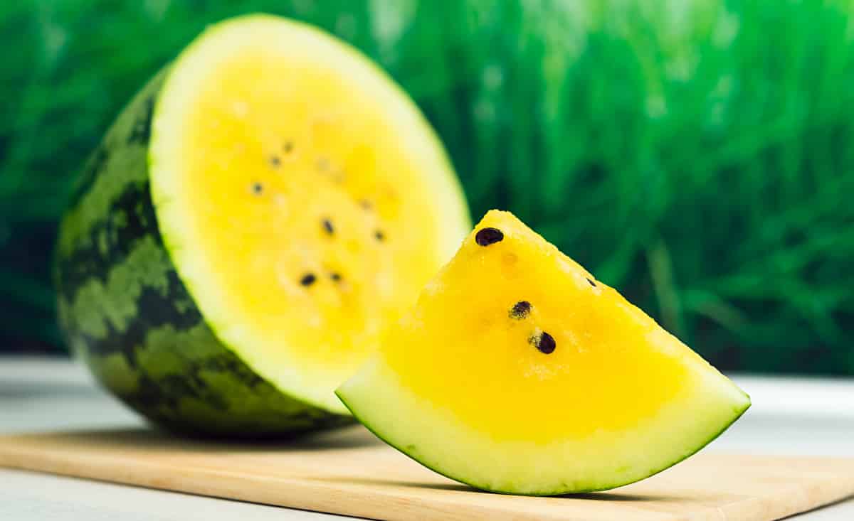 Odrůda žlutého melounu