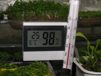 Co dělat, když okurky ve skleníku vadnou?