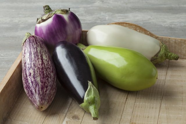 Besynderligt og meget velsmagende – hvad er auberginer