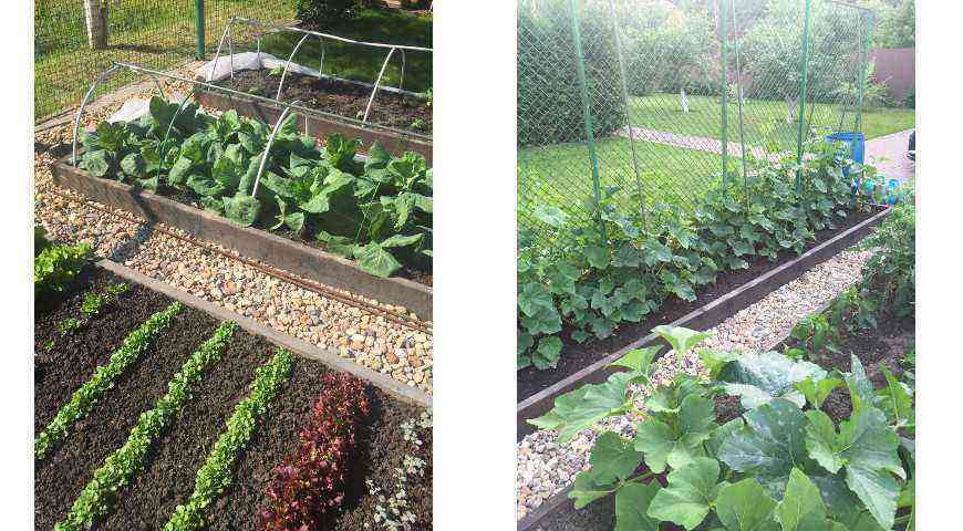 Haveindretning: ikke kun en smuk, men også en frugtbar have