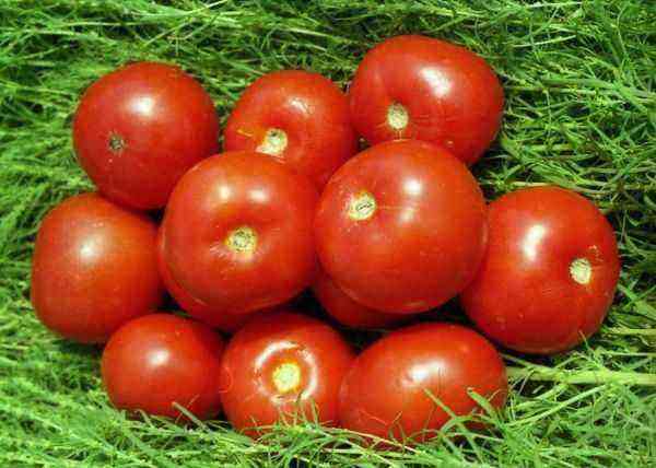Ideel til mad, god til salg: for hvilke kvaliteter kan grøntsagsavlere lide tomater af sorten Volgograd tidlig modning 323