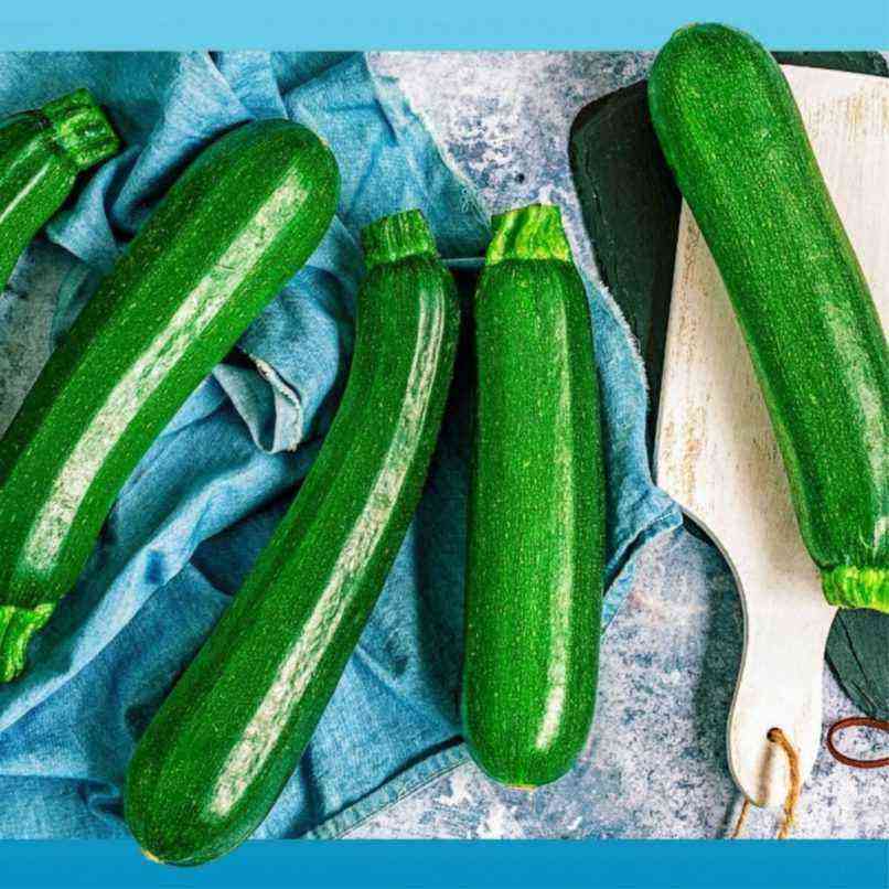 Zucchini zucchini: fordele og skader, træk ved plantning og dyrkning