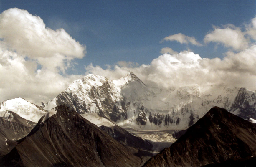 Beskrivelse, farve, adfærdstræk ved Altai-bjergfårene
