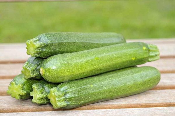 Bestimmung der Reife von Zucchini und des Erntezeitpunkts
