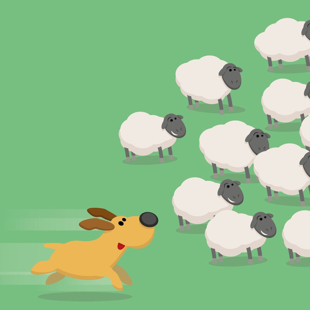 Elektronischer Schäferhund für Schafe: Vor- und Nachteile, Gewöhnungsprozess für Schafe
