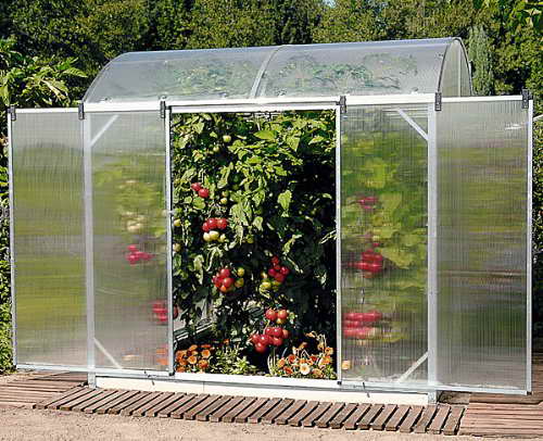 Der Erfolg der Kompaktheit: Wie nah können Sie Tomaten im Gewächshaus und im Freiland pflanzen, um an Quantität und Qualität zu erfreuen