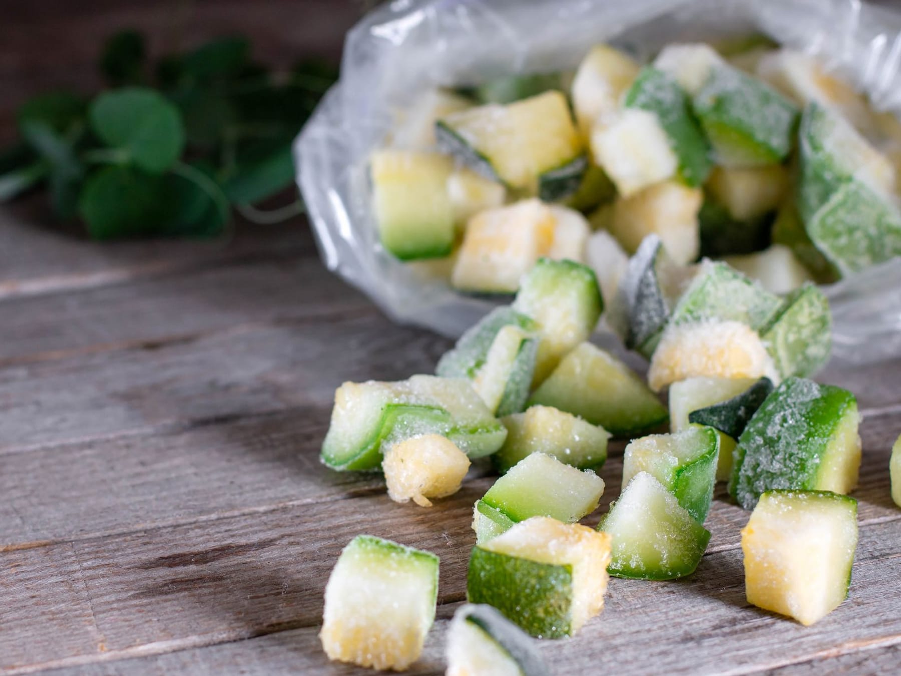 Ist es möglich, Zucchini für den Winter frisch einzufrieren?