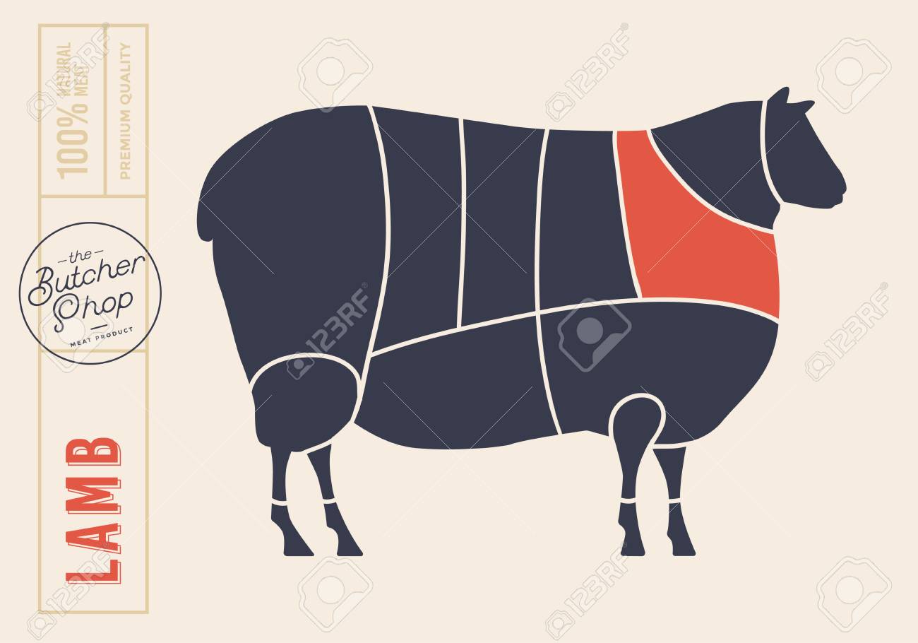 Schema zum Schneiden von Rinderschlachtkörpern