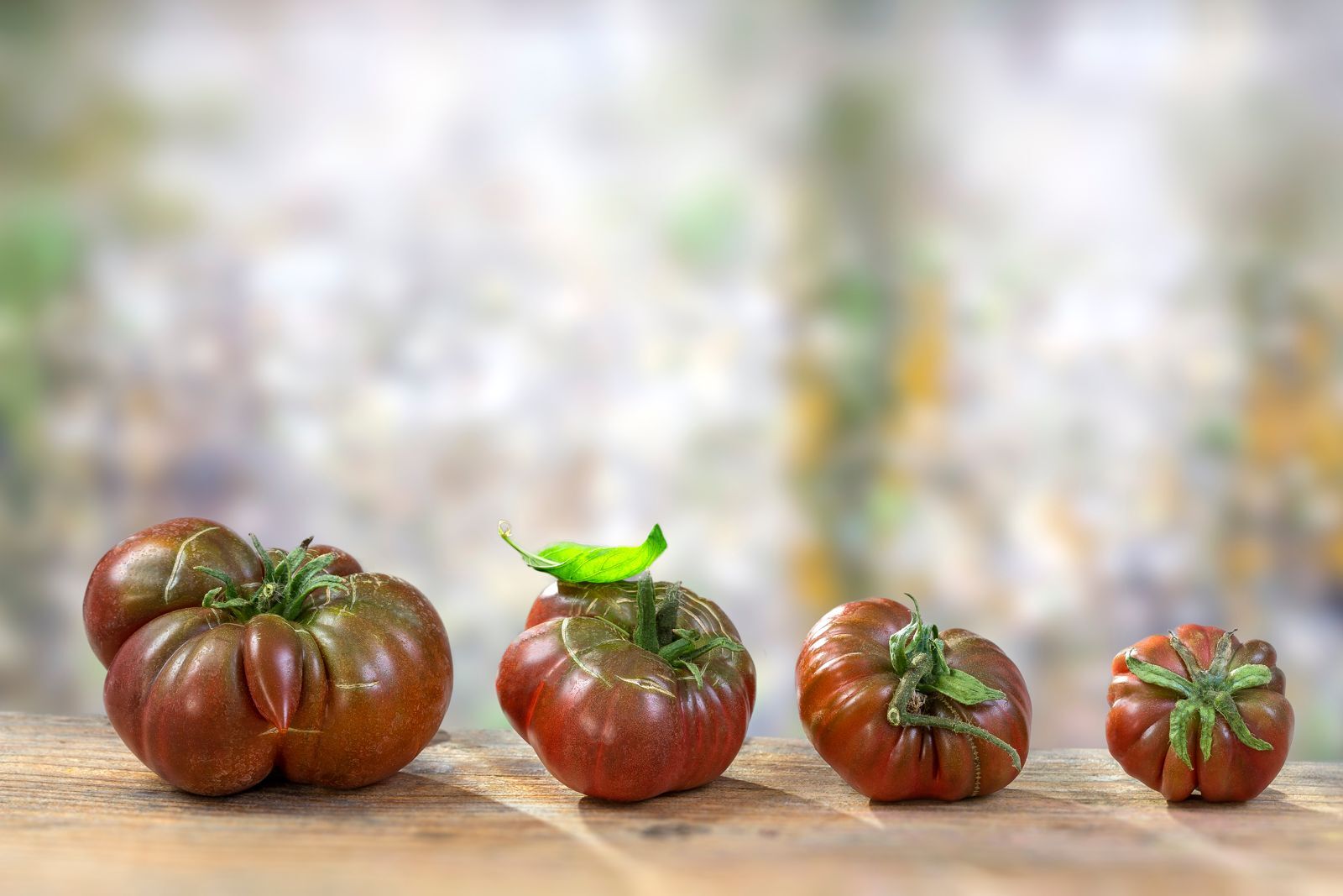 Schwarze Tomate: Die besten Sorten und Hybriden schwarzer Tomaten zum Anpflanzen im Gewächshaus