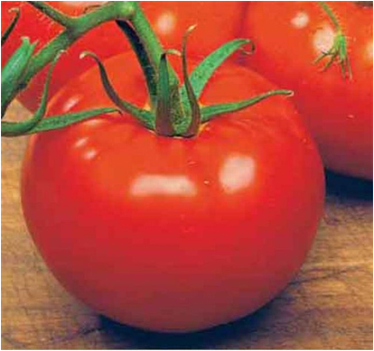 Η ποικιλία ντομάτας "Sugar Pudovichok" είναι ευχάριστη και υγιεινή σε ένα λαχανικό κάτω από ένα περιτύλιγμα κόκκινου βατόμουρου