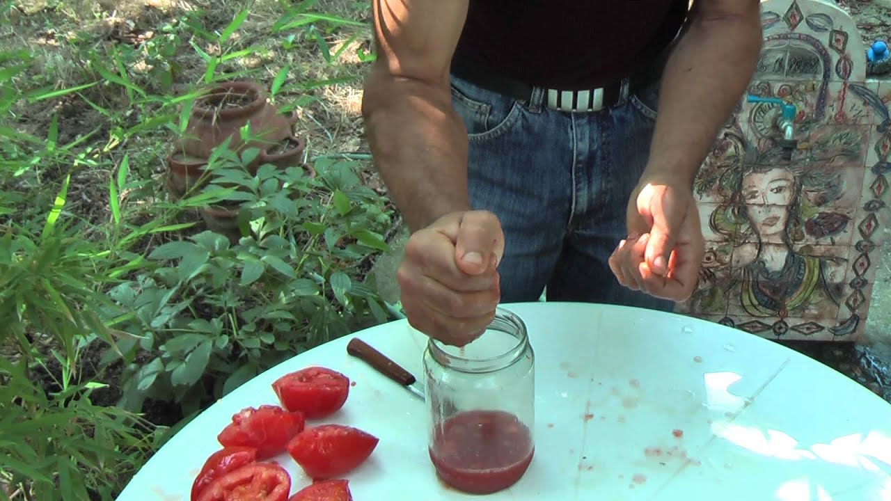 Πώς ένας μηχανικός φύτεψε ντομάτες: φύτεψε μια ντομάτα χρησιμοποιώντας τη μέθοδο Maslov
