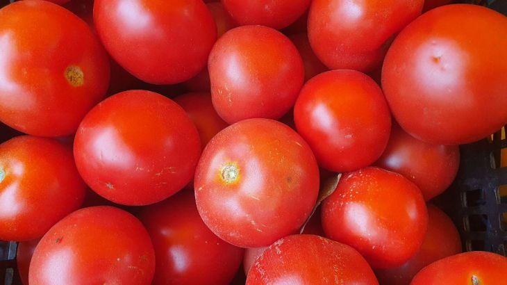 Σε ποια απόσταση να φυτέψετε ντομάτες σε θερμοκήπιο
