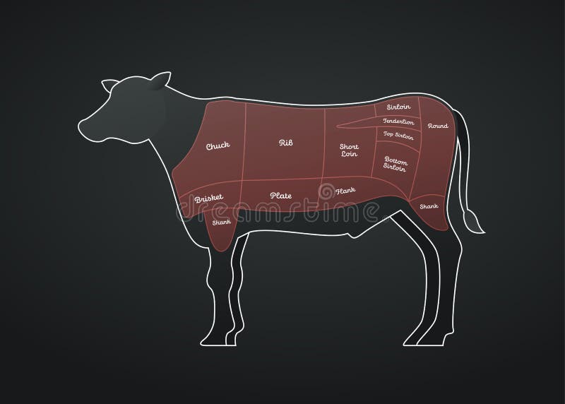 Σχέδιο κοπής σφάγιου βοείου κρέατος