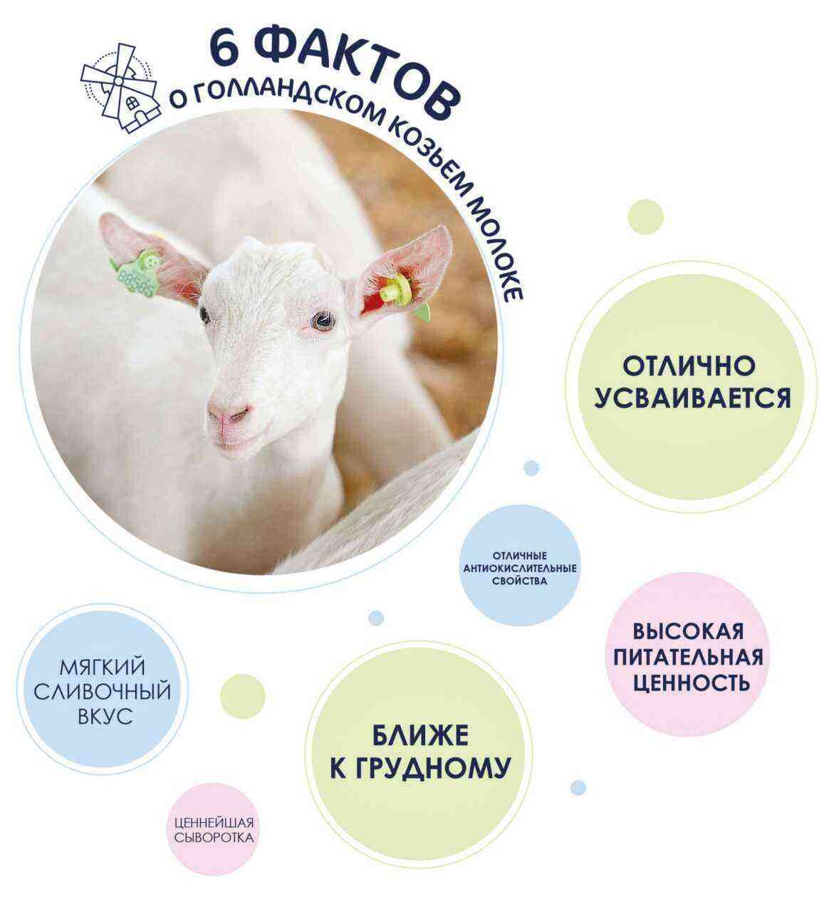 Los beneficios de la leche de cabra