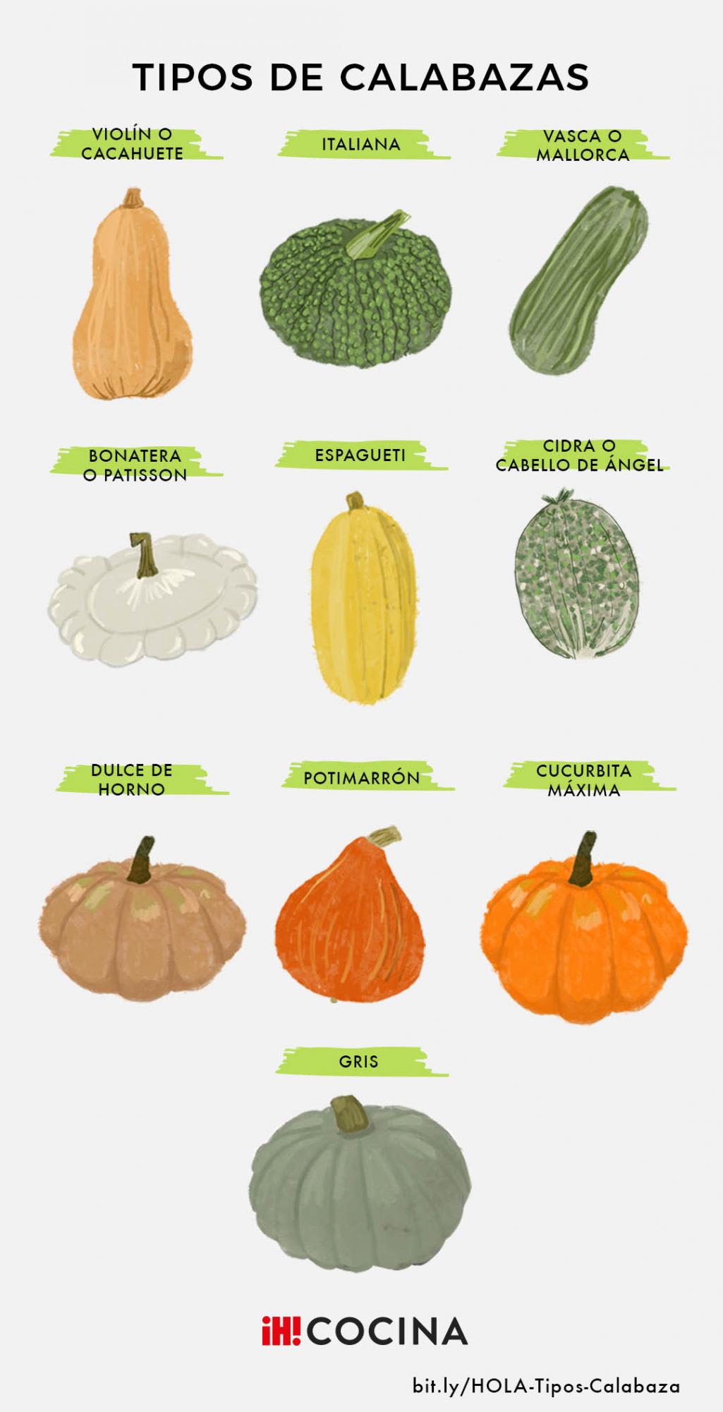 Variedad varietal de calabaza verde con descripción y foto.