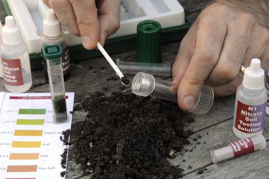 4 formas sencillas de probar la calidad del suelo sin necesidad de comprar pruebas