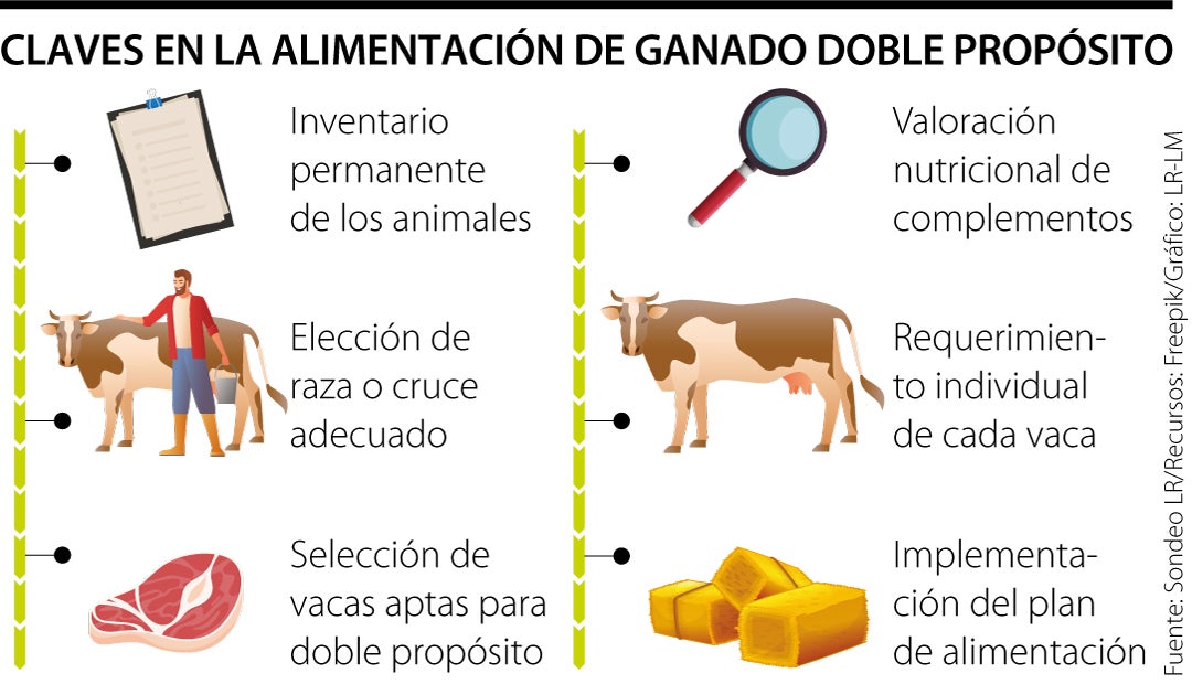 Alimentación adecuada de vacas y ganado vacuno.