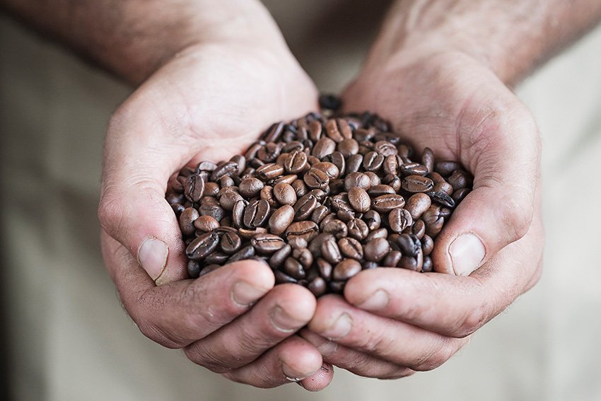 Café: 24 datos interesantes sobre el grano