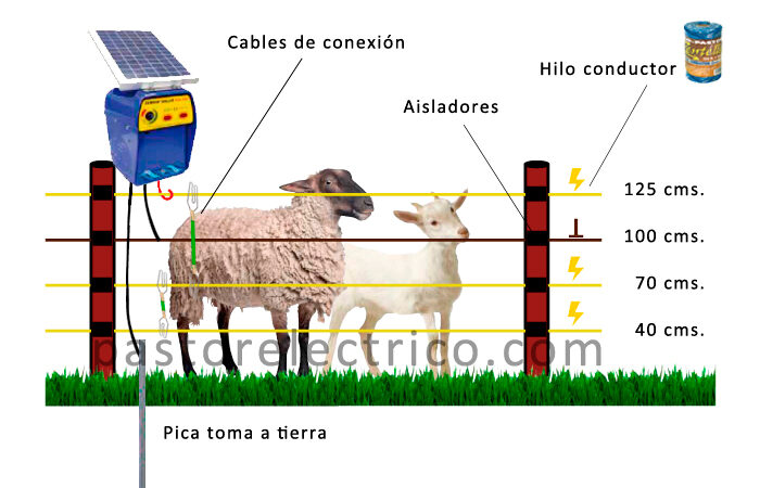 Cerca electrica para cabras