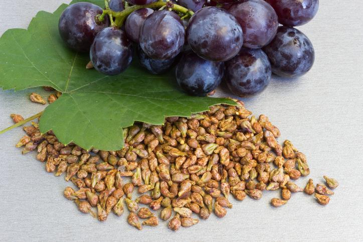 ¿Cómo cultivar uvas a partir de semillas?