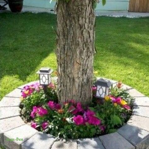 Cómo equipar un jardín de flores debajo de un árbol: decorar círculos de tronco