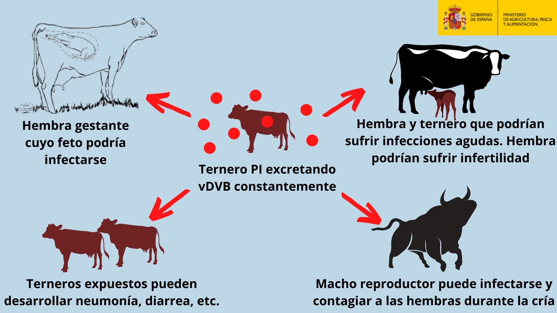 Diarrea viral en ganado