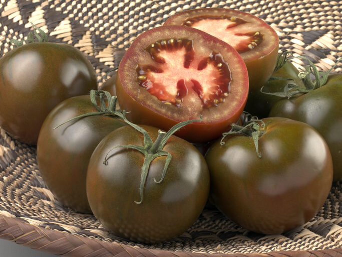 Dulce, fragante, negro: una característica de los tomates de la variedad Kumato según las reseñas de criadores y residentes de verano.