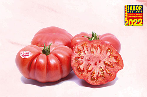 El tomate rosado de Abakan se elige por su fructificación prolongada y su excelente sabor.