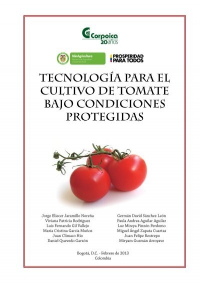 Maduración temprana y poco exigente: razones para elegir variedades de tomate de bajo crecimiento para campo abierto e invernaderos