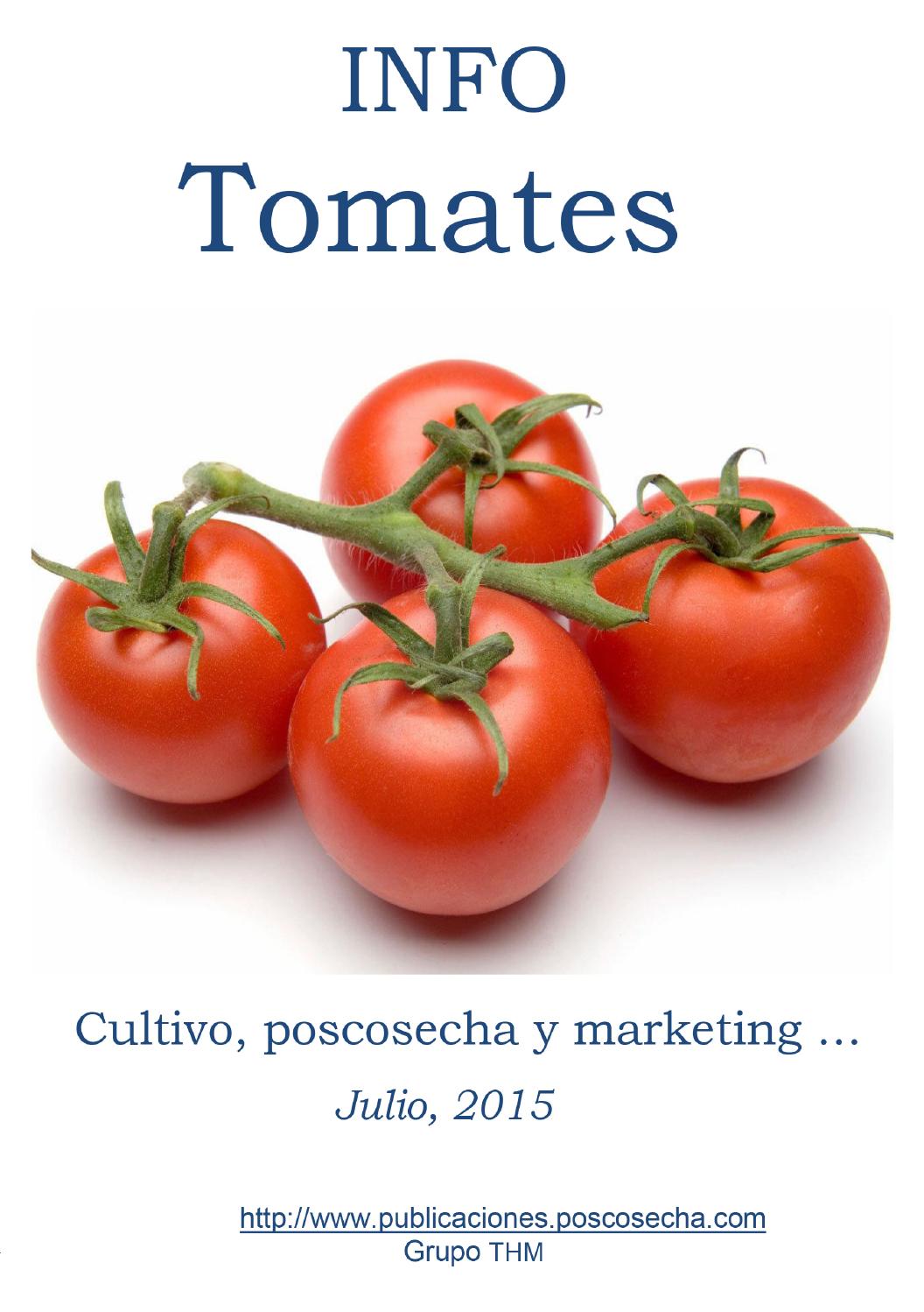 Pequeño pero prolífico: el tomate Benito es una variedad que merece la atención de los amantes del buen tomate