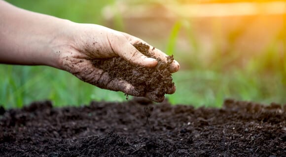¿Qué determina la fertilidad del suelo o cómo cuidar el suelo en el país?