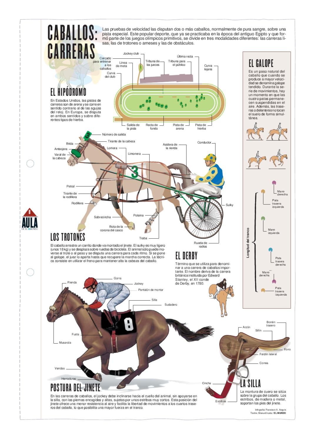 Tipos de carrera de caballos