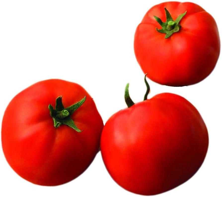 Un gigante carnoso con un sabor delicioso: por qué a los jardineros les encantan los tomates Big Beef