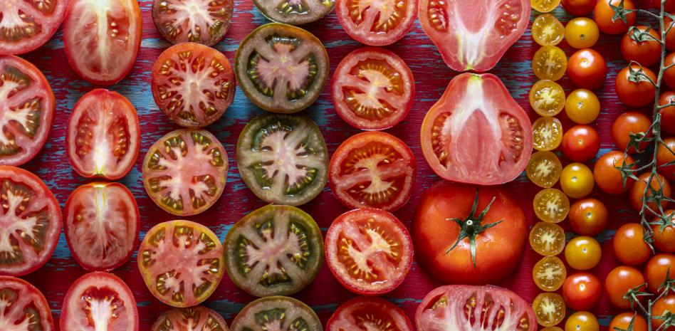 Variedades de tomates de alto rendimiento: ¿cuál preferir?