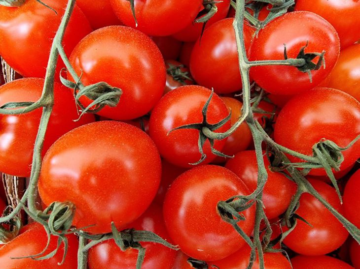 Ensiapupakkaus kesäasukkaiden auttamiseksi: halpa ja hyödyllinen - kuinka ruokkia tomaatteja oikein jodilla taimien kasvua varten