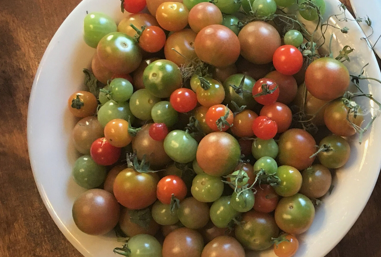 Haluatko kasvattaa makeita, lihaisia ​​tomaatteja?  Levitä kaliumlannoitetta tomaateille