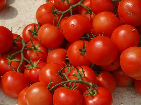 Jos maku on sinulle tärkeä, valitse suuria tomaattilajikkeita sekä avoimeen maahan että kasvihuoneisiin.